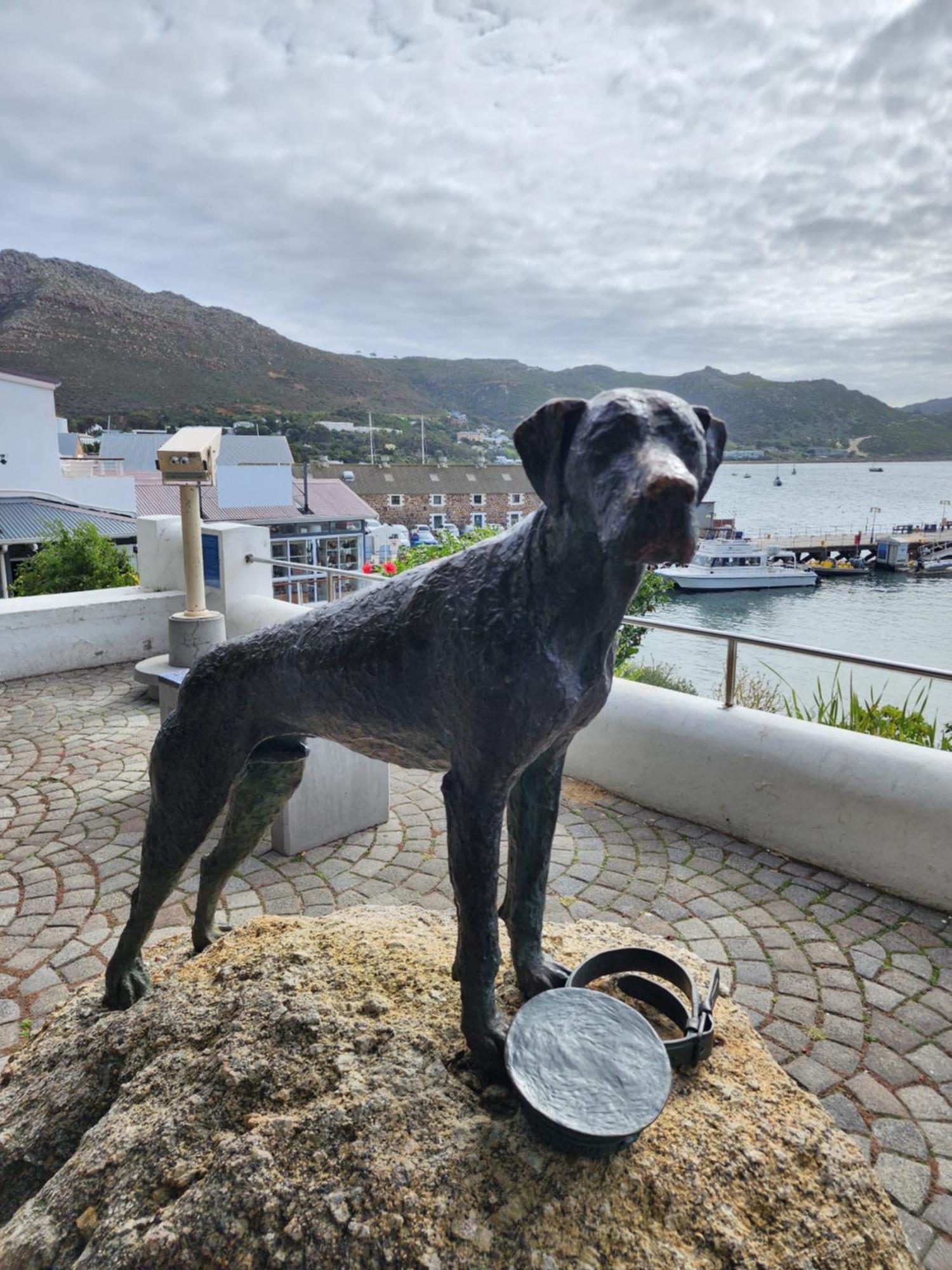 Simonʼs Town Boulders Blue Bed And Breakfast מראה חיצוני תמונה