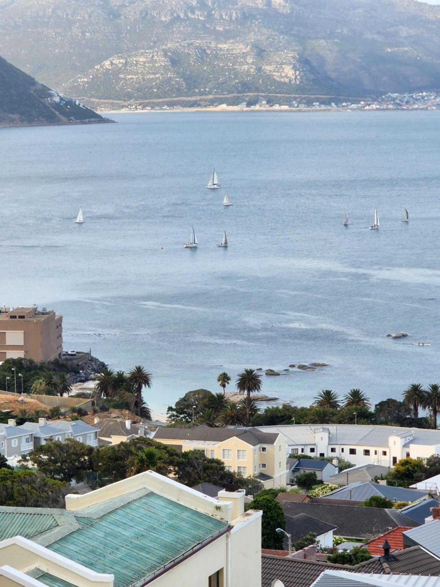 Simonʼs Town Boulders Blue Bed And Breakfast מראה חיצוני תמונה